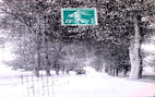 Pont_suspendu (18).jpg